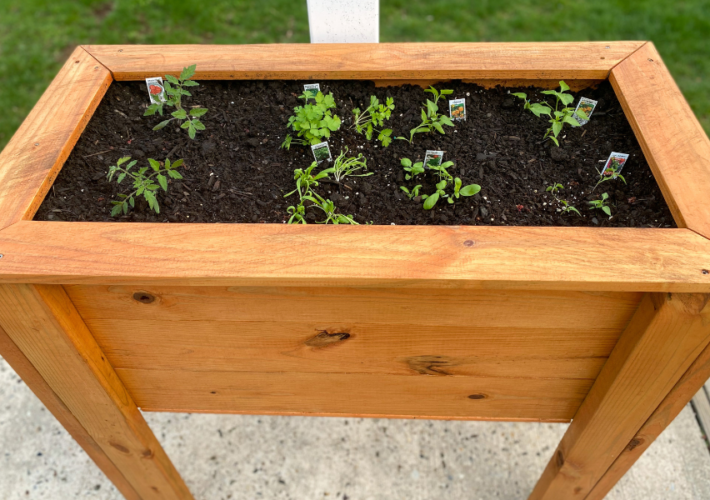 VEGETABLE GARDEN IDEAS FOR SMALL SPACES