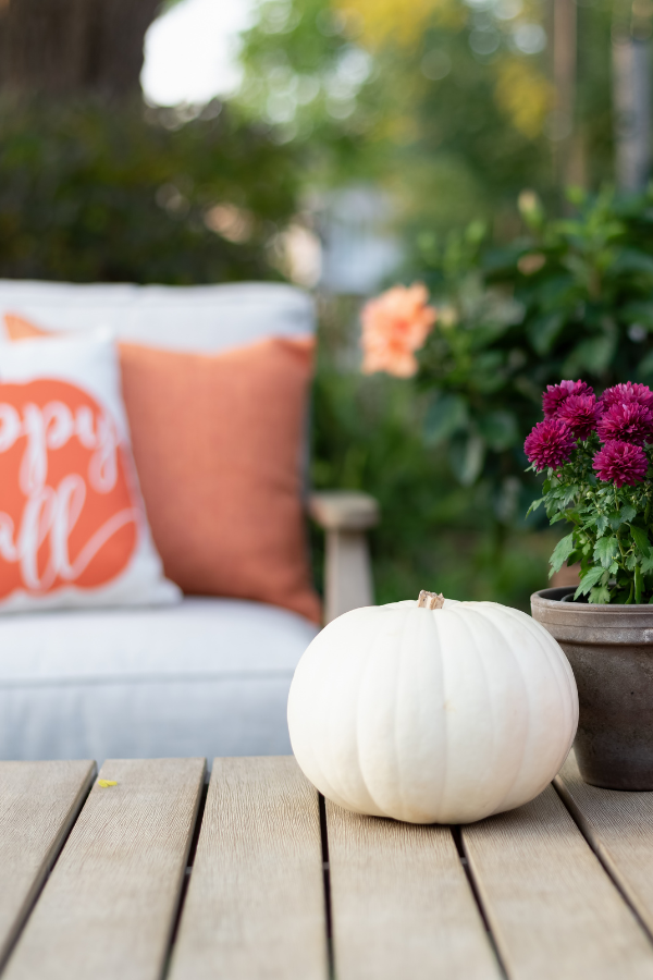 seasonal small garden decor