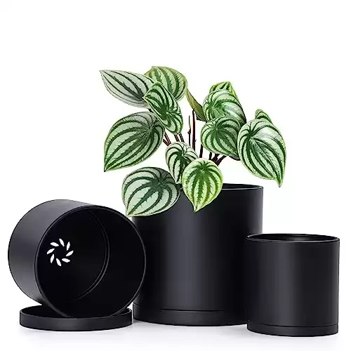 D vine Dev 4 Inch 5 Inch 6 Inch, Set of 3 Plastic Planter Pots for Plants with Drainage Hole and Seamless Saucers, Black Color, Small, 74-E-S-2