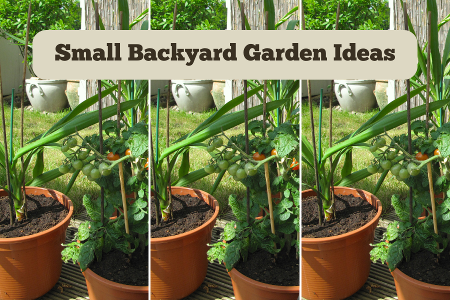 small backyard garden ideas