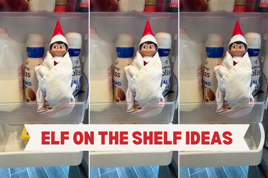 ELF ON THE SHELF IDEAS 2024