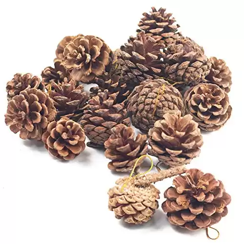 JOHOUSE Natural Pine Cones, Christmas Rustic Pinecones Fall Garland Halloween Thanksgiving Decorations, Christmas Tree Fall Ornaments,18 PCS