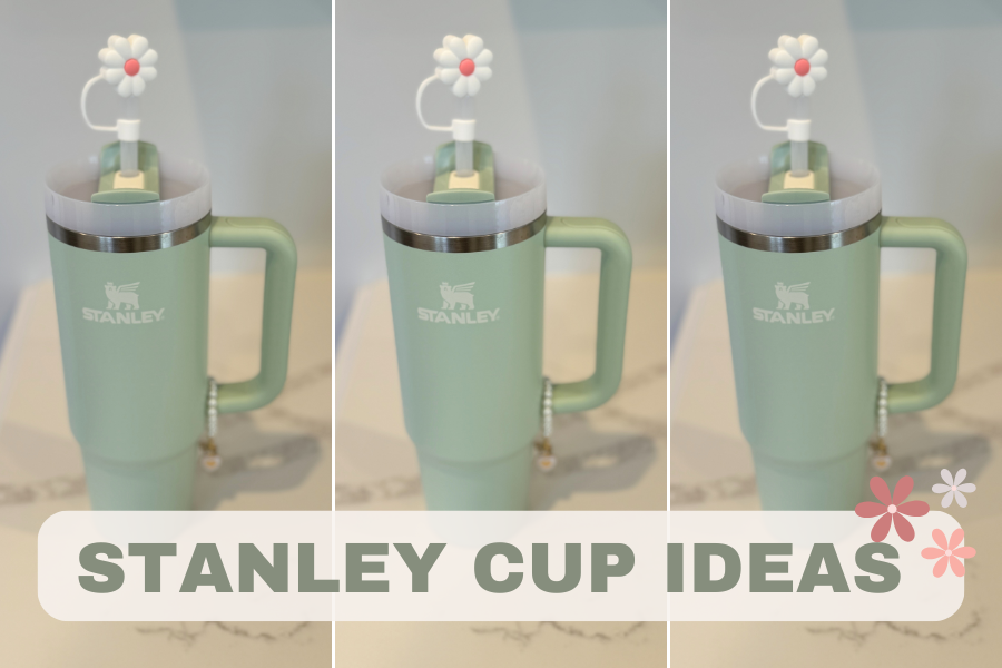 STANLEY CUP IDEAS IDEAS FOR TEACHERS