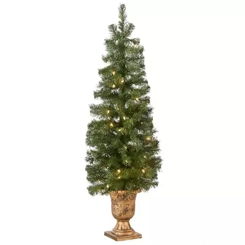 National Tree Company Pre-lit Artificial Tree For Entrances and Christmas| Includes Pre-strung White Lights | Montclair Spruce - 4 ft, Black/Gold