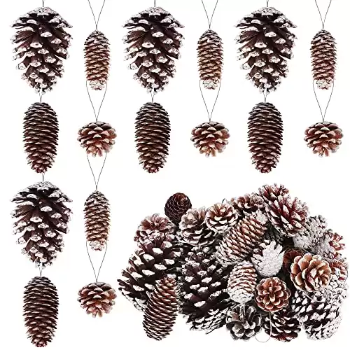 Fovths 42 Pieces Christmas Snow White Pine Cones Ornaments Natural Rustic Pine Cones Bulk Xmas Tree Hanging Decoration for Christmas Tree Gift Home Party DIY, Assorted Sizes