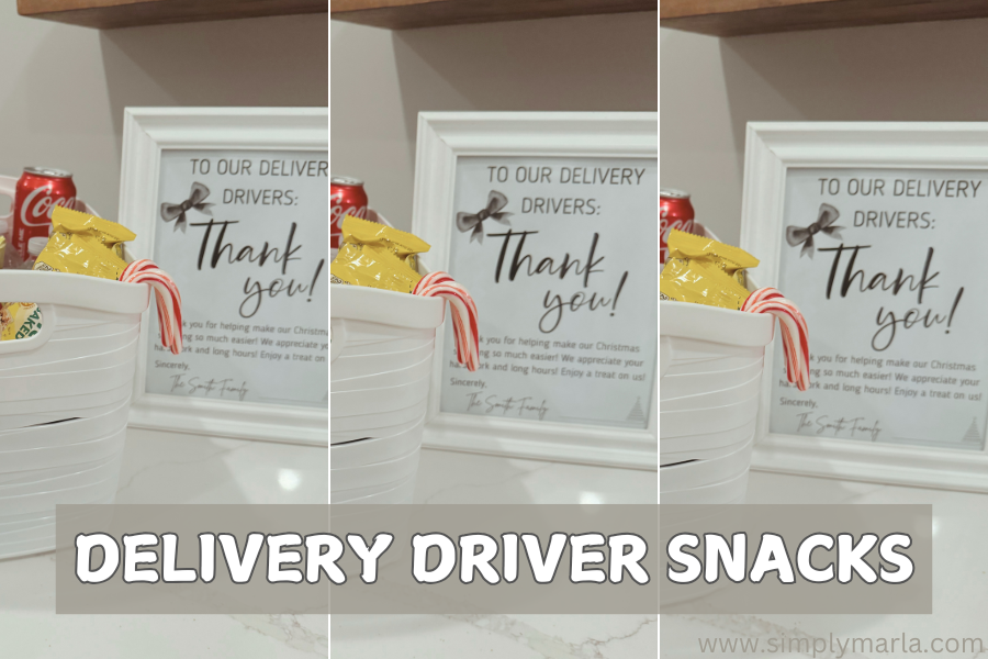 delivery driver snack ideas