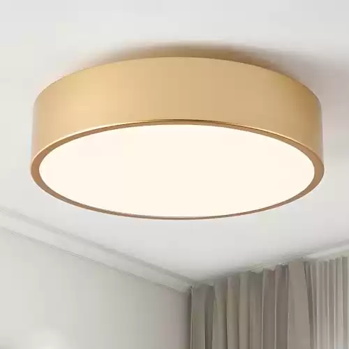 Mivenda Modern Flush Mount Ceiling Light, 2-Lights Gold Ceiling Light, Minimalistic Ceiling Lamp Acrylic Shade Lighting Fixture for Bedroom Laundry Room Foye Hallway(11.8 Inch)