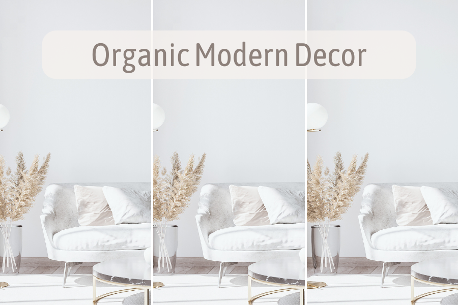 organic modern decor