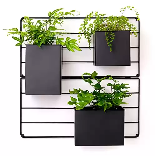 KASSELL Vertical Garden Wall Planter. Wall Mounted for Indoor/Outdoor. All Metal Black Vertical Planter with No Assembly Required. for Flowers, Herbs, Succulents and Plants