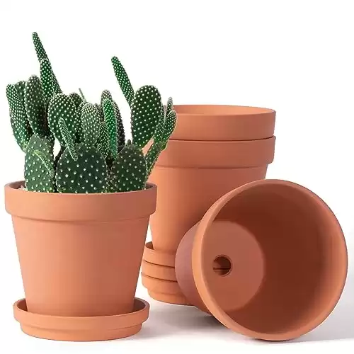 6 inch Clay Pots for Plants with Saucer, Large Terra Cotta Plant Pots with Drainage Hole, Flower Pots with Tray, Terracotta Pots for Indoor Outdoor Plant - Pack of 4 Planters